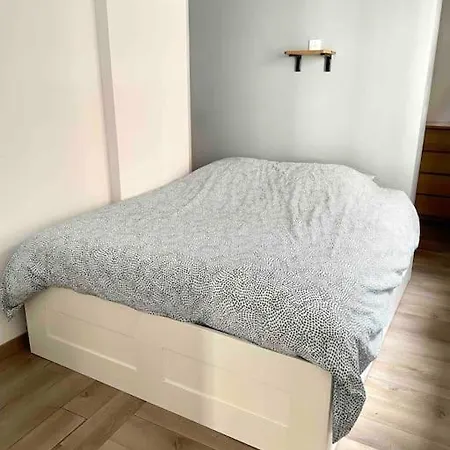Lumineux Et Cosy Au Coeur De