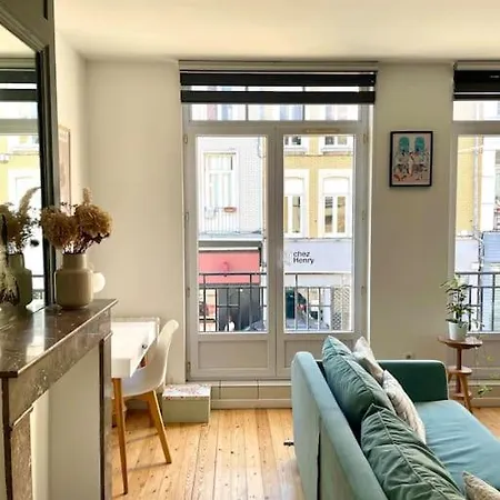 Lumineux Et Cosy Au Coeur De * Lille